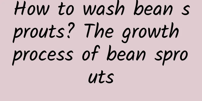 How to wash bean sprouts? The growth process of bean sprouts