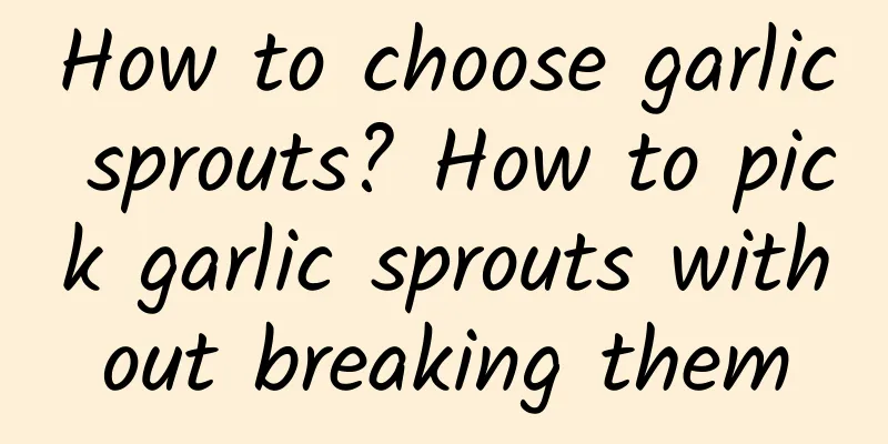 How to choose garlic sprouts? How to pick garlic sprouts without breaking them