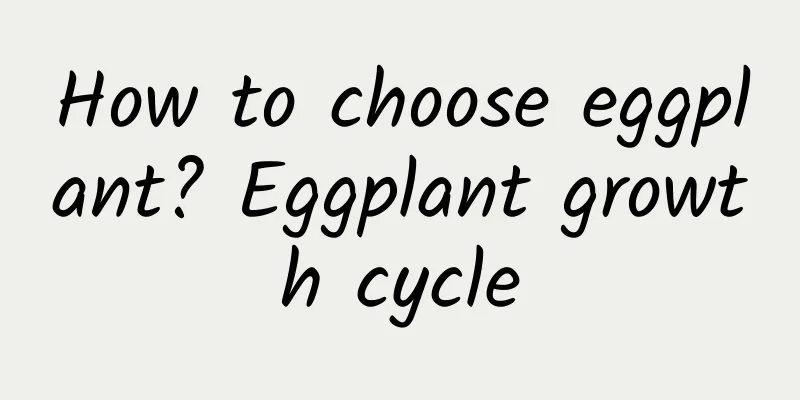 How to choose eggplant? Eggplant growth cycle