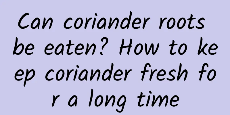 Can coriander roots be eaten? How to keep coriander fresh for a long time