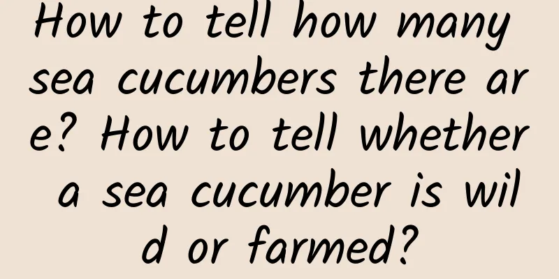How to tell how many sea cucumbers there are? How to tell whether a sea cucumber is wild or farmed?