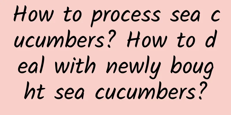 How to process sea cucumbers? How to deal with newly bought sea cucumbers?