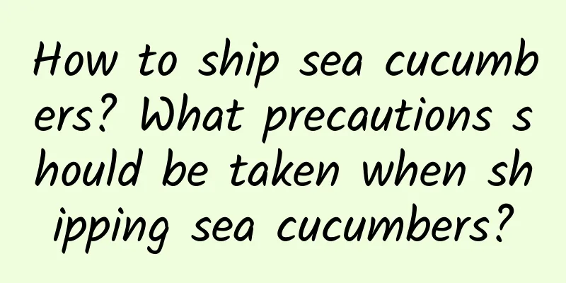 How to ship sea cucumbers? What precautions should be taken when shipping sea cucumbers?