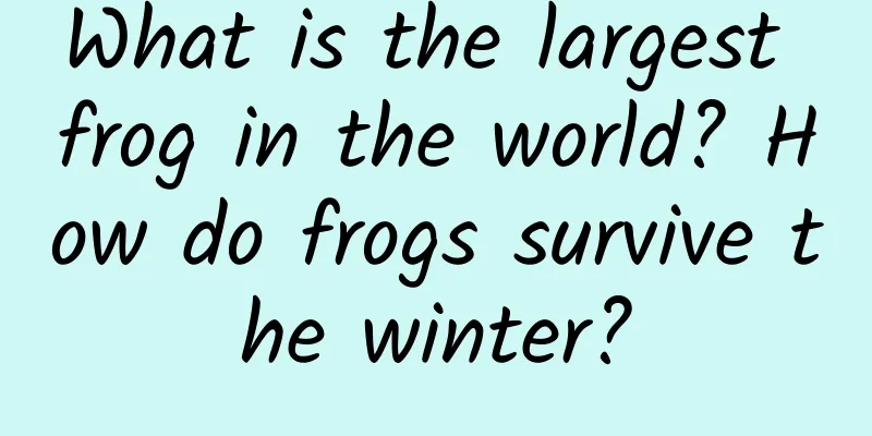 What is the largest frog in the world? How do frogs survive the winter?