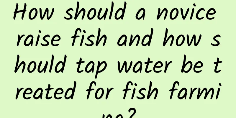 How should a novice raise fish and how should tap water be treated for fish farming?