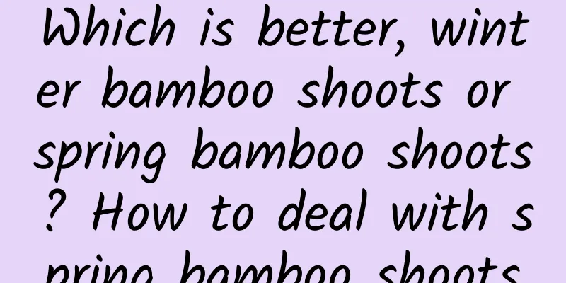Which is better, winter bamboo shoots or spring bamboo shoots? How to deal with spring bamboo shoots