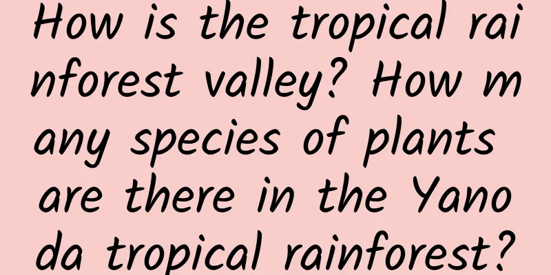 How is the tropical rainforest valley? How many species of plants are there in the Yanoda tropical rainforest?