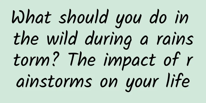 What should you do in the wild during a rainstorm? The impact of rainstorms on your life