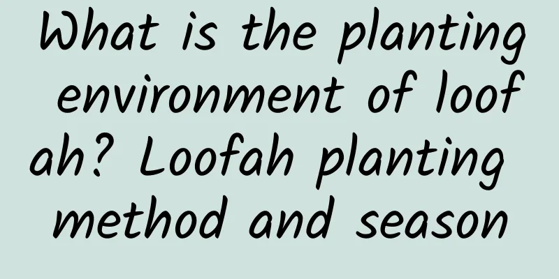 What is the planting environment of loofah? Loofah planting method and season