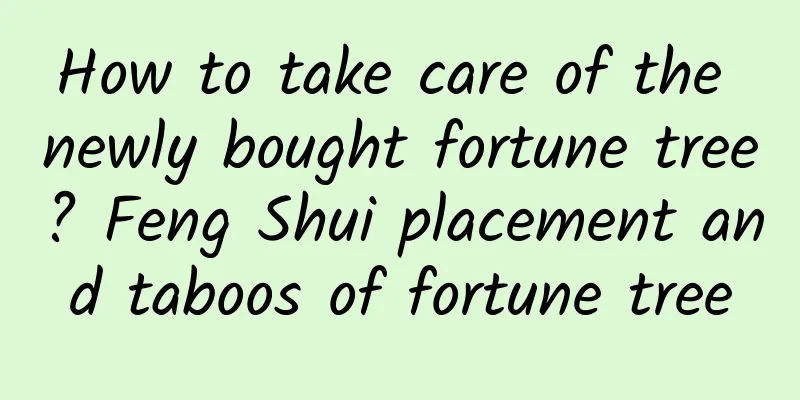 How to take care of the newly bought fortune tree? Feng Shui placement and taboos of fortune tree