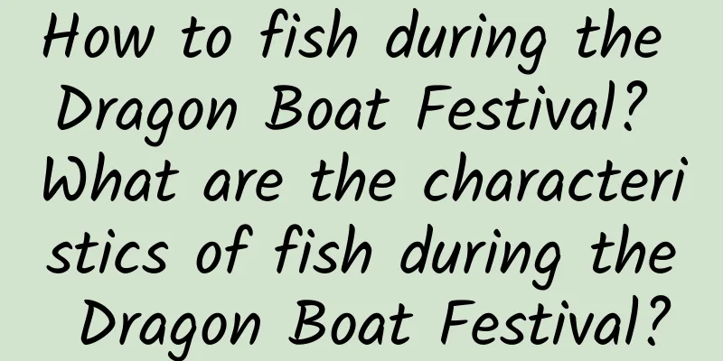 How to fish during the Dragon Boat Festival? What are the characteristics of fish during the Dragon Boat Festival?
