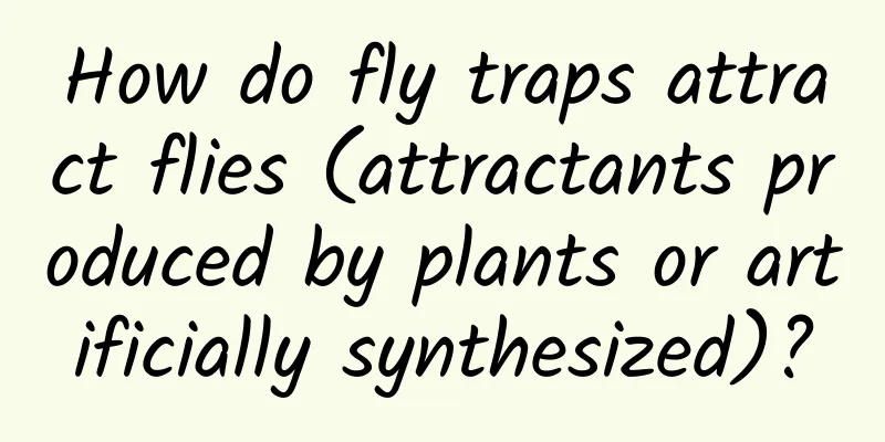 How do fly traps attract flies (attractants produced by plants or artificially synthesized)?