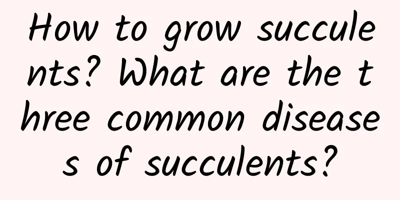How to grow succulents? What are the three common diseases of succulents?