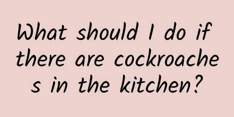 What should I do if there are cockroaches in the kitchen?