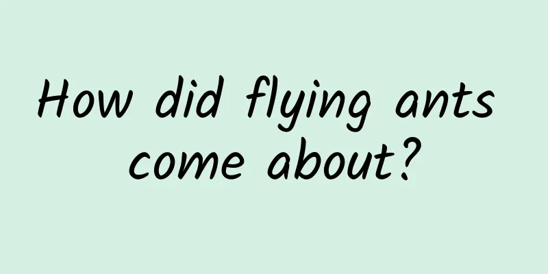 How did flying ants come about?