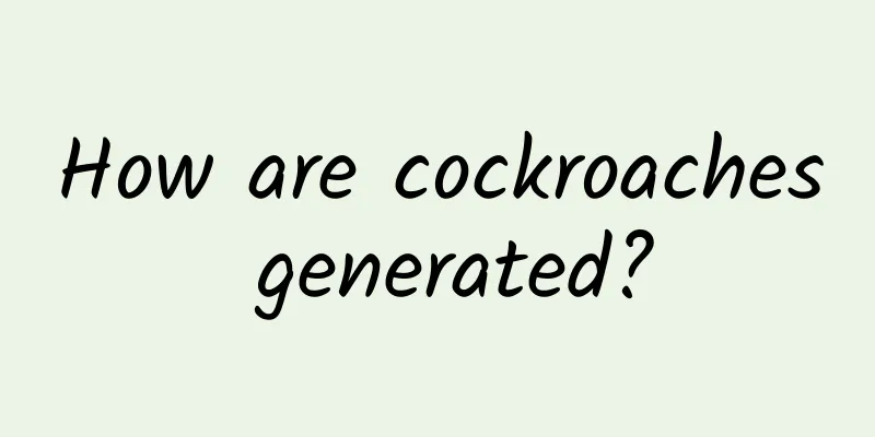 How are cockroaches generated?