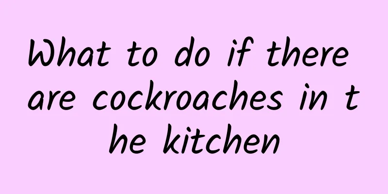 What to do if there are cockroaches in the kitchen