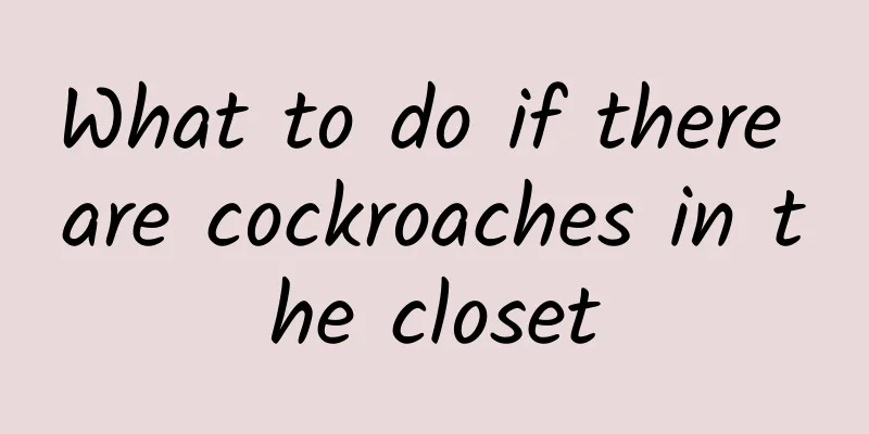 What to do if there are cockroaches in the closet