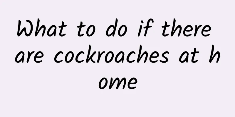 What to do if there are cockroaches at home