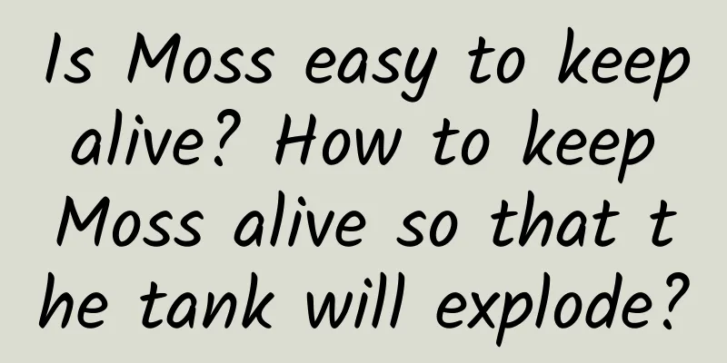 Is Moss easy to keep alive? How to keep Moss alive so that the tank will explode?
