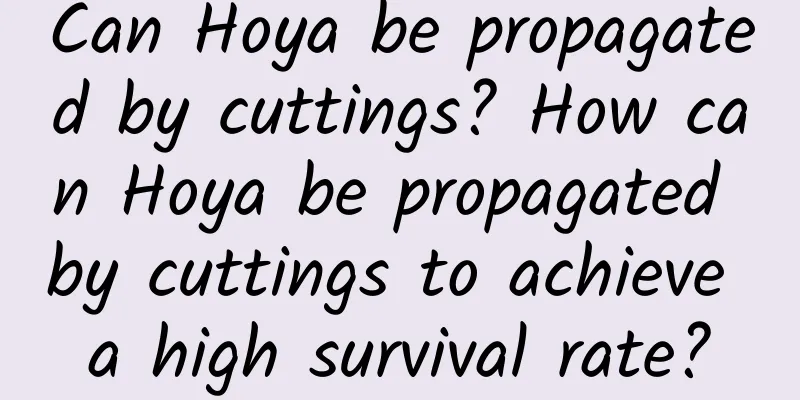 Can Hoya be propagated by cuttings? How can Hoya be propagated by cuttings to achieve a high survival rate?