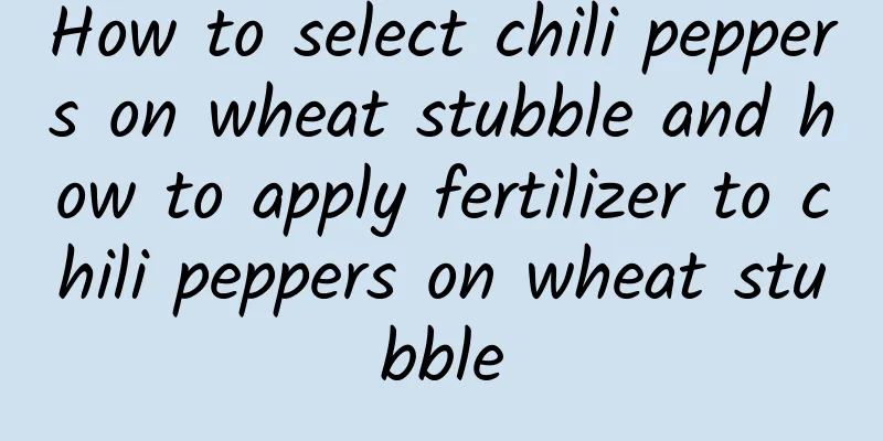 How to select chili peppers on wheat stubble and how to apply fertilizer to chili peppers on wheat stubble