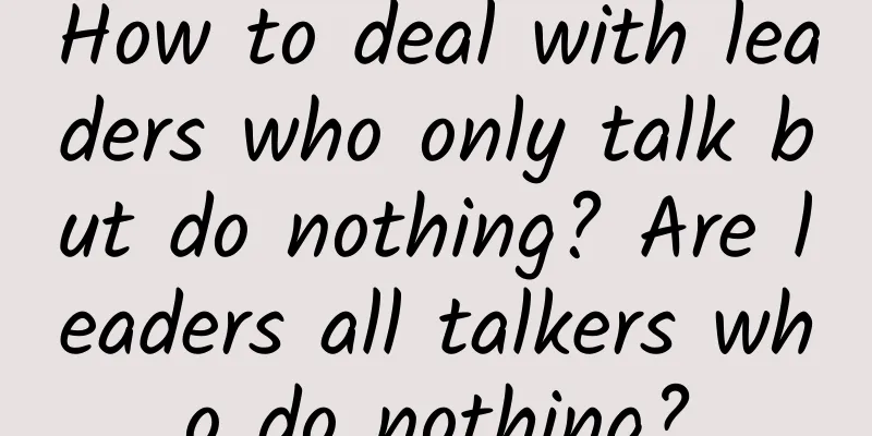 How to deal with leaders who only talk but do nothing? Are leaders all talkers who do nothing?