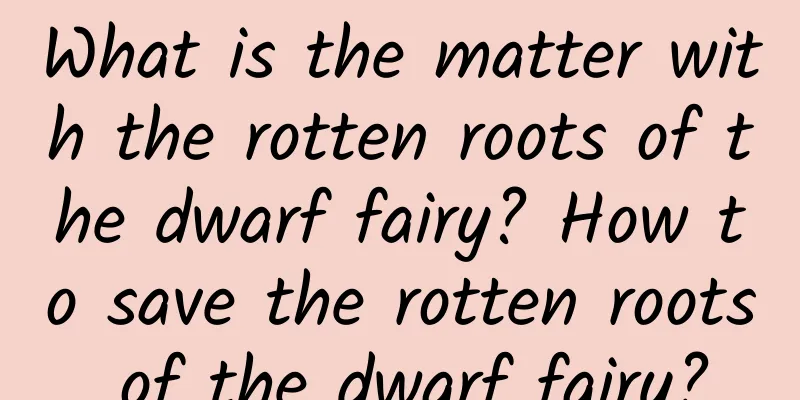 What is the matter with the rotten roots of the dwarf fairy? How to save the rotten roots of the dwarf fairy?