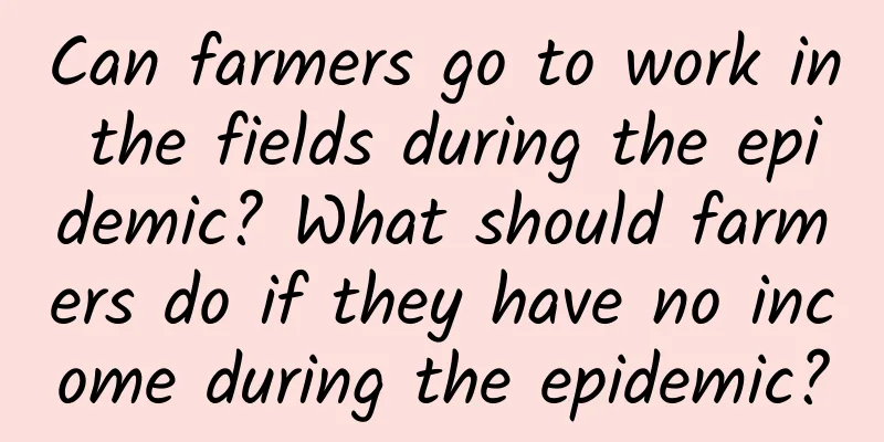 Can farmers go to work in the fields during the epidemic? What should farmers do if they have no income during the epidemic?