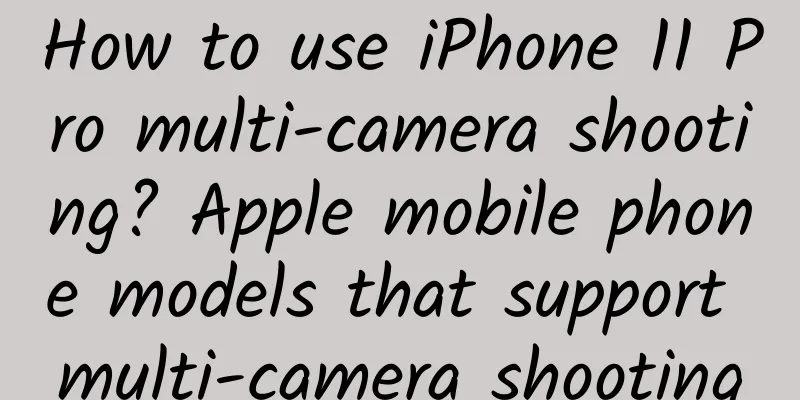 How to use iPhone 11 Pro multi-camera shooting? Apple mobile phone models that support multi-camera shooting