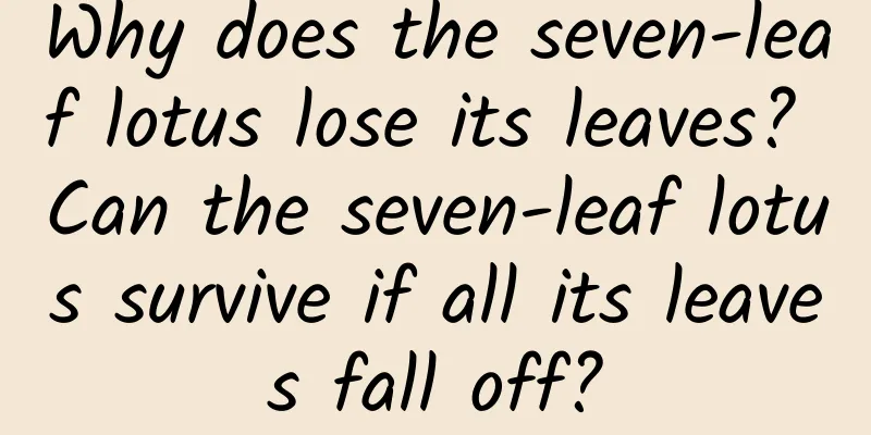 Why does the seven-leaf lotus lose its leaves? Can the seven-leaf lotus survive if all its leaves fall off?