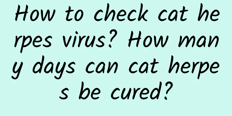 How to check cat herpes virus? How many days can cat herpes be cured?