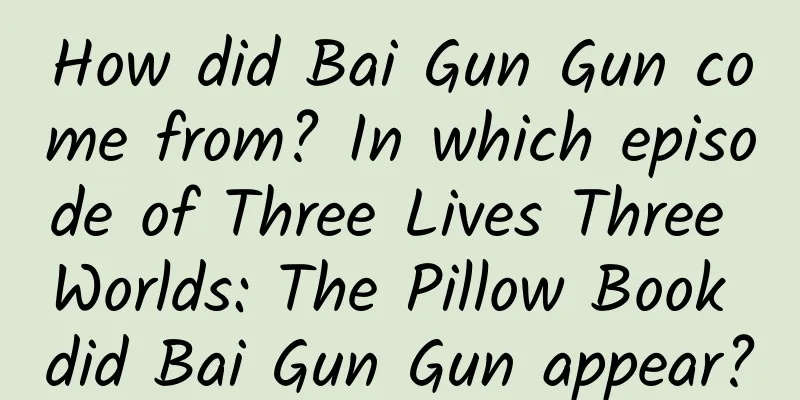 How did Bai Gun Gun come from? In which episode of Three Lives Three Worlds: The Pillow Book did Bai Gun Gun appear?