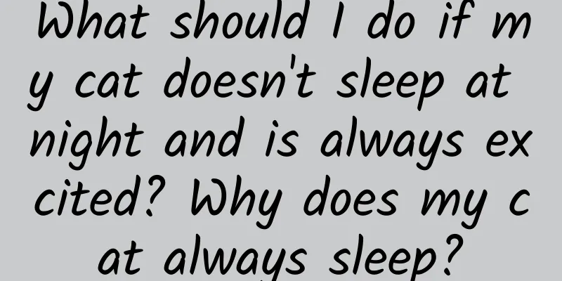 What should I do if my cat doesn't sleep at night and is always excited? Why does my cat always sleep?