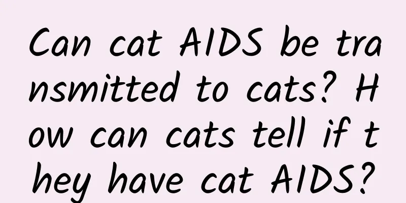 Can cat AIDS be transmitted to cats? How can cats tell if they have cat AIDS?