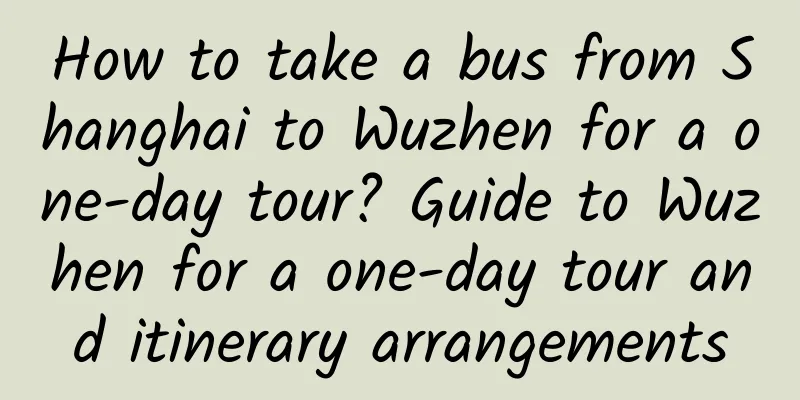 How to take a bus from Shanghai to Wuzhen for a one-day tour? Guide to Wuzhen for a one-day tour and itinerary arrangements