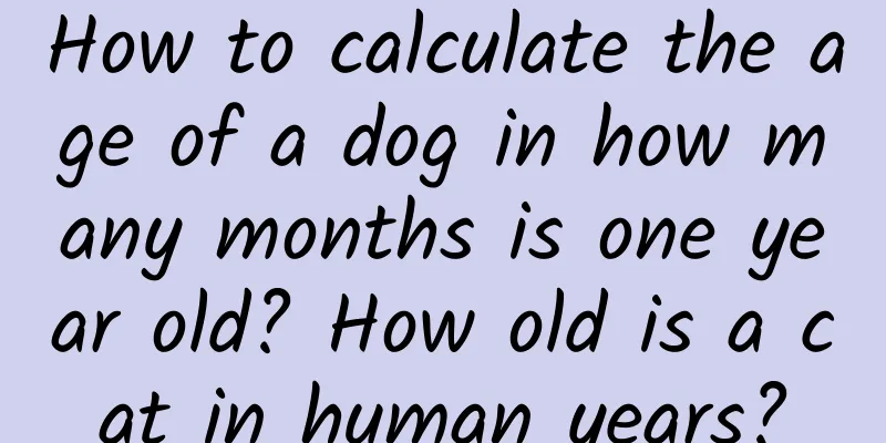 How to calculate the age of a dog in how many months is one year old? How old is a cat in human years?