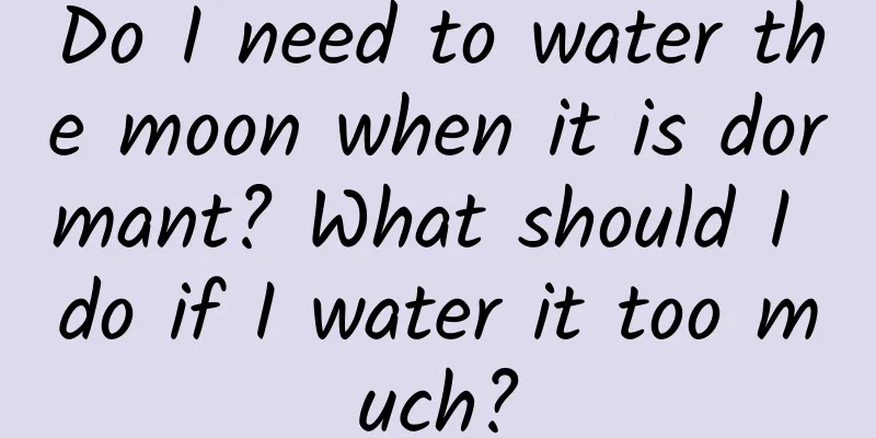 Do I need to water the moon when it is dormant? What should I do if I water it too much?