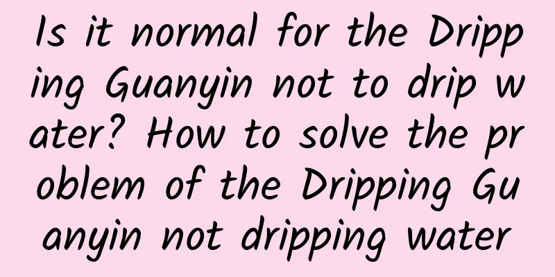 Is it normal for the Dripping Guanyin not to drip water? How to solve the problem of the Dripping Guanyin not dripping water