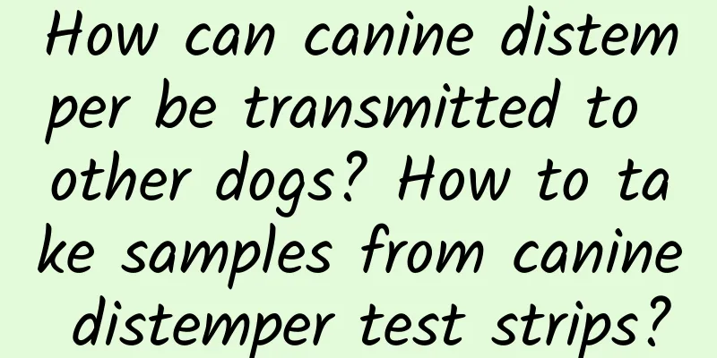 How can canine distemper be transmitted to other dogs? How to take samples from canine distemper test strips?