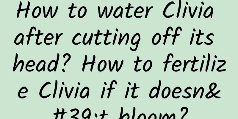 How to water Clivia after cutting off its head? How to fertilize Clivia if it doesn't bloom?