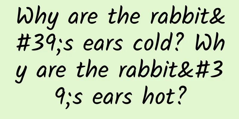 Why are the rabbit's ears cold? Why are the rabbit's ears hot?