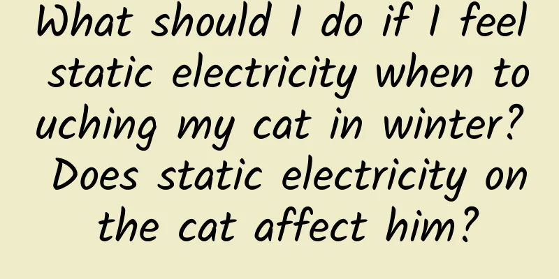 What should I do if I feel static electricity when touching my cat in winter? Does static electricity on the cat affect him?