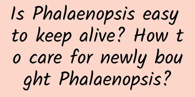 Is Phalaenopsis easy to keep alive? How to care for newly bought Phalaenopsis?