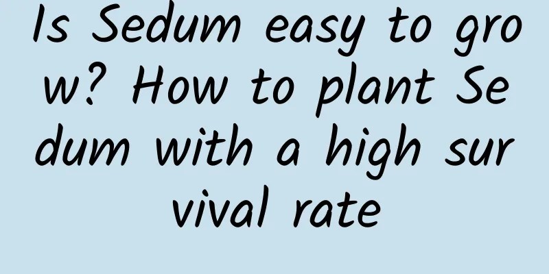 Is Sedum easy to grow? How to plant Sedum with a high survival rate