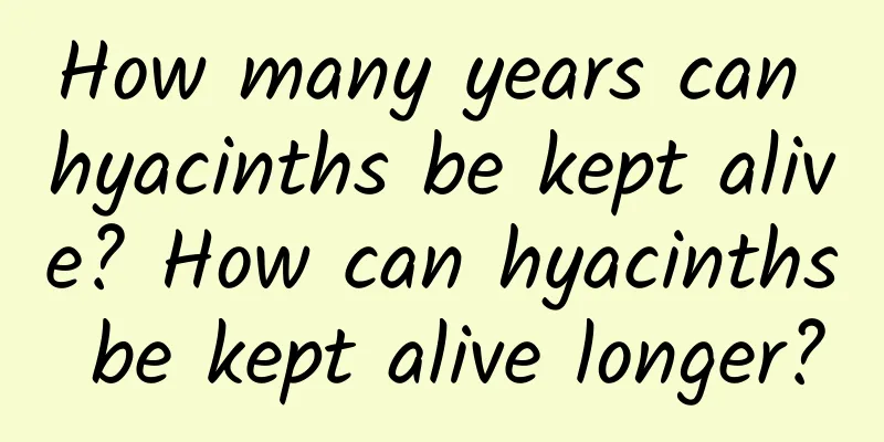 How many years can hyacinths be kept alive? How can hyacinths be kept alive longer?