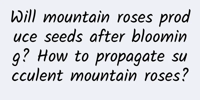 Will mountain roses produce seeds after blooming? How to propagate succulent mountain roses?