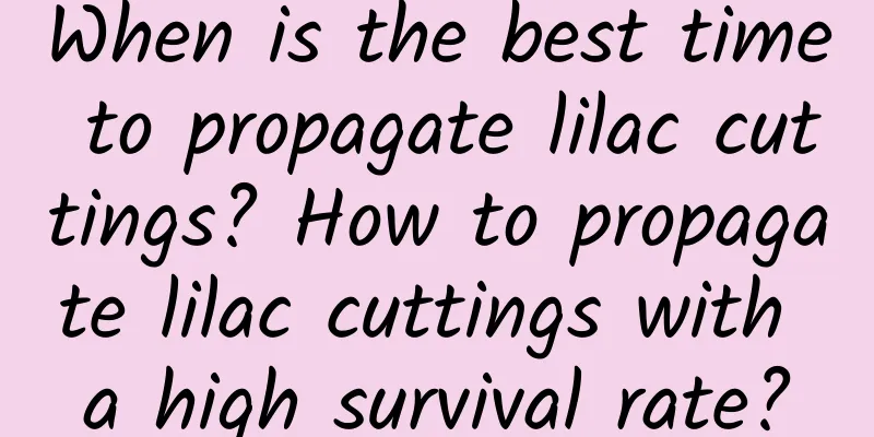 When is the best time to propagate lilac cuttings? How to propagate lilac cuttings with a high survival rate?