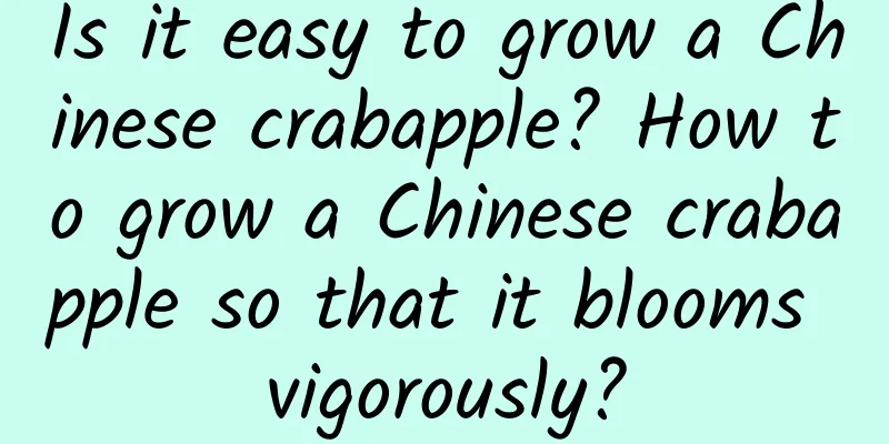 Is it easy to grow a Chinese crabapple? How to grow a Chinese crabapple so that it blooms vigorously?