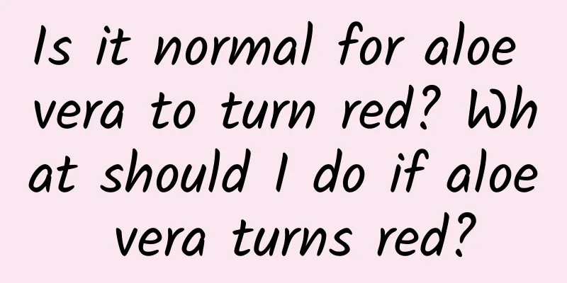 Is it normal for aloe vera to turn red? What should I do if aloe vera turns red?